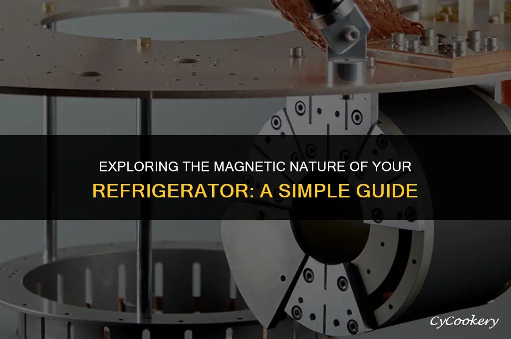 how to tell if your refrigerator is magnetic
