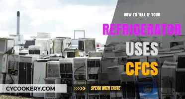 Eco-Friendly Cooling: Identifying CFC Use in Your Refrigerator