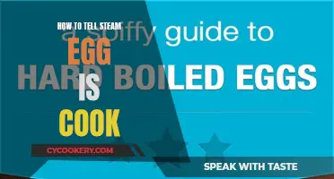 Steam Egg Cooking: How to Tell When It's Done