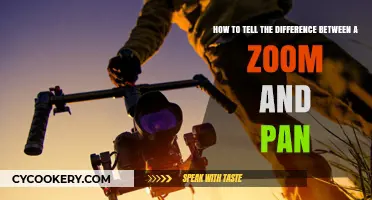 Understanding Zoom and Pan: The Key Differences