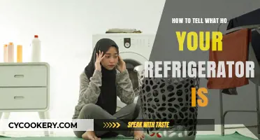 Decoding Your Refrigerator's Age: A Simple Guide
