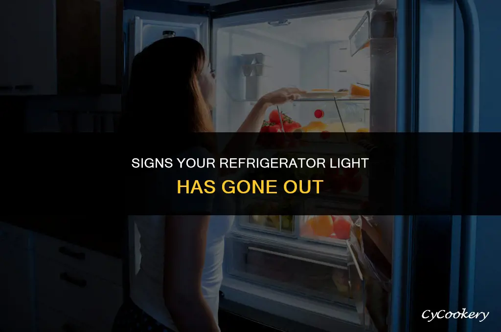 how to tell when a refrigerator bulb is blown