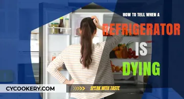 Signs Your Refrigerator Is Failing: A Comprehensive Guide