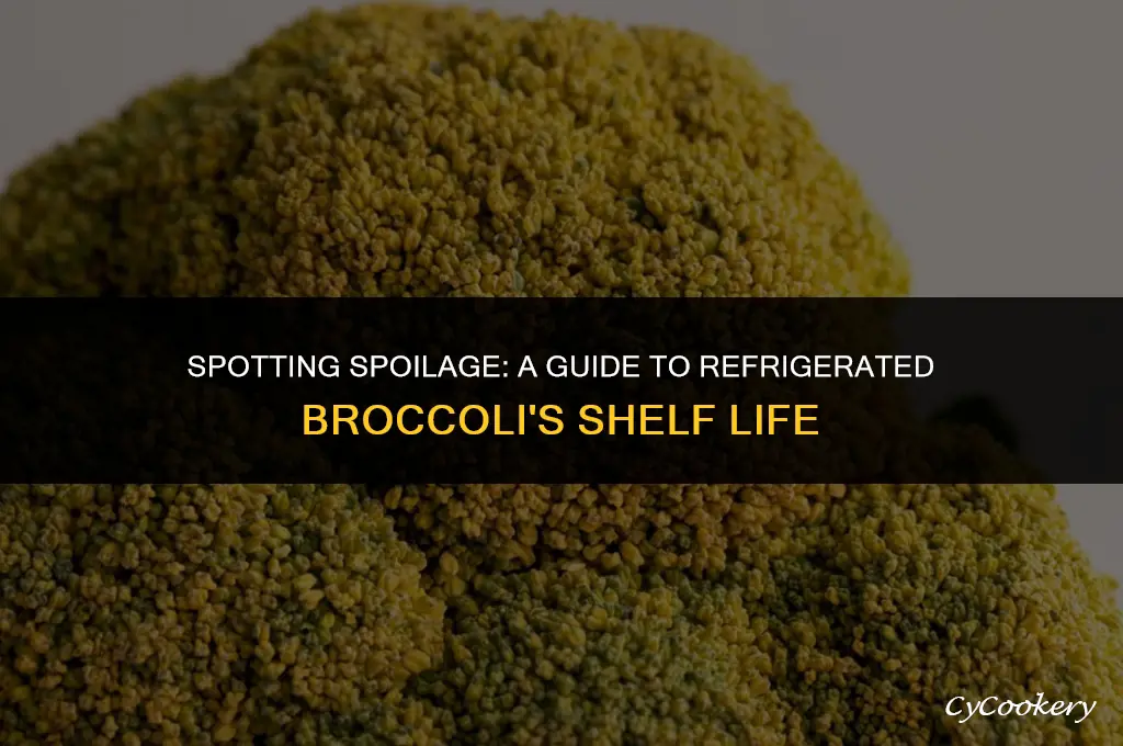how to tell when refrigerated brocolli goes bad