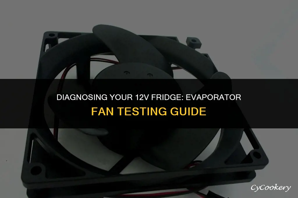 how to test a 12 volt refrigerator evaporator fan