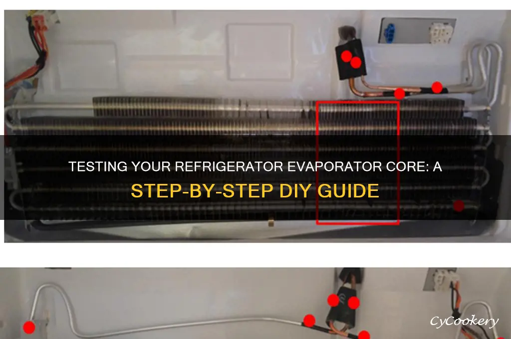 how to test a refrigerator evaporator core
