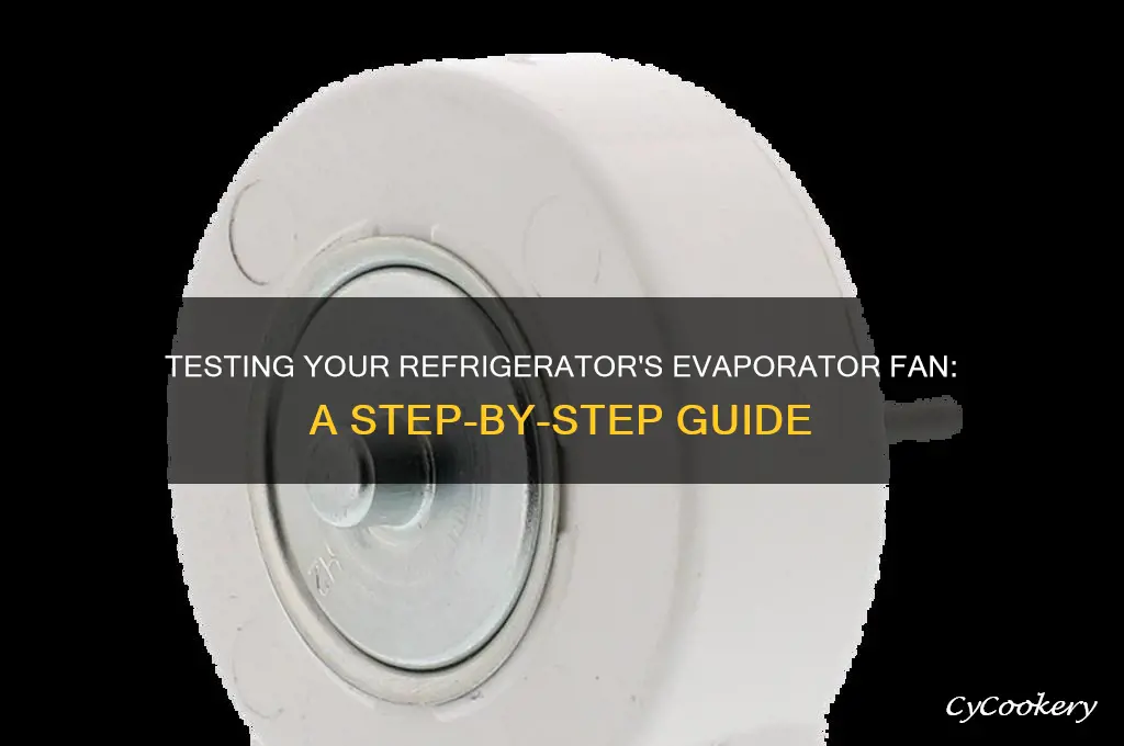 how to test a refrigerator evaporator fan