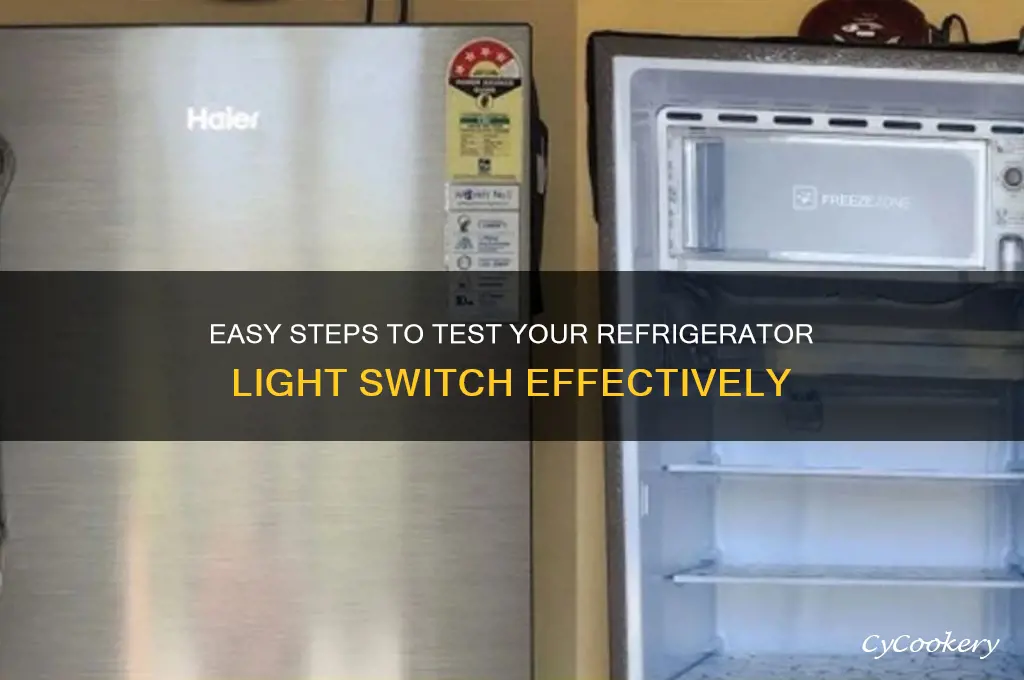 how to test a refrigerator light switch