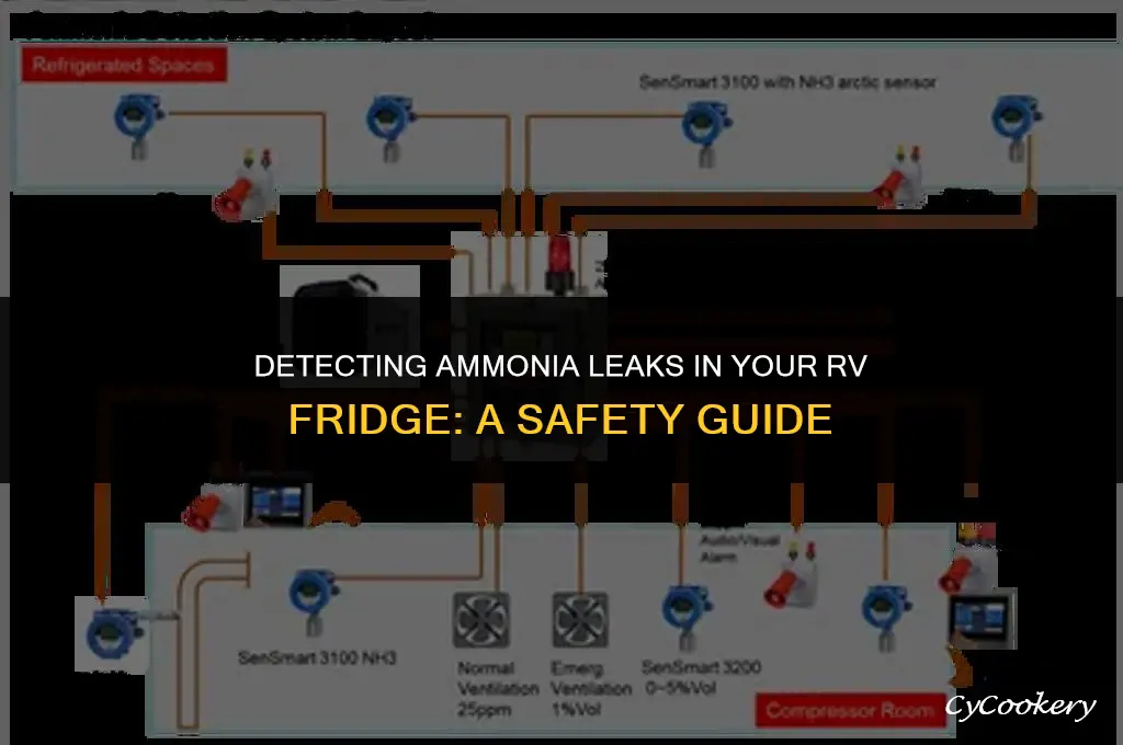 how to test an rv refrigerator for ammonia