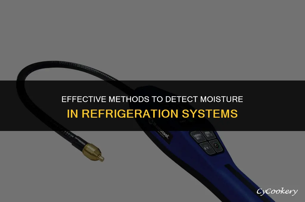 how to test for moisture in a refrigeration system
