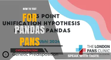 Testing for Pandas: The Ultimate Guide to Panda-Proof Pans