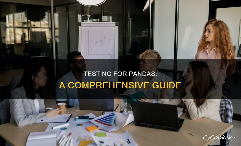 how to test for pandas