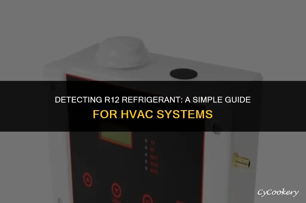 how to test if i have r12 refrigerant