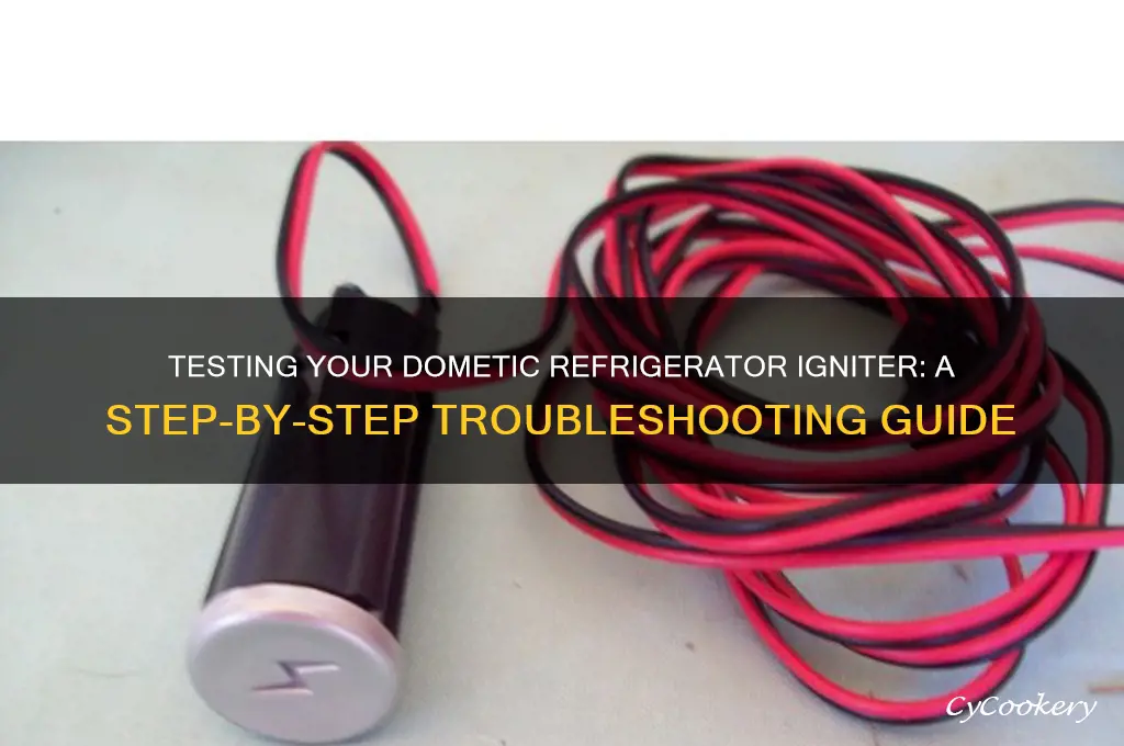 how to test igniter on dometic refrigerator