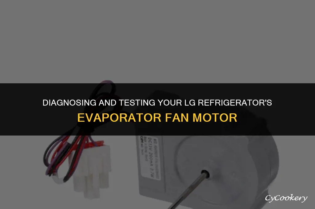 how to test lg refrigerator evaporator fan motor