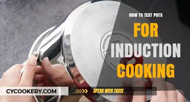 Testing Pots for Induction Cooking: What You Need to Know
