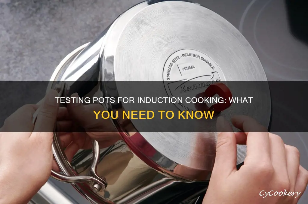 how to test pots for induction cooking