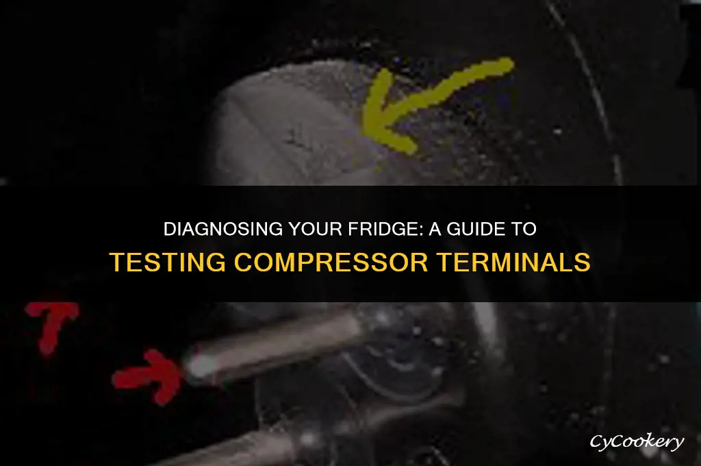 how to test the terminals of a refrigerator compressor