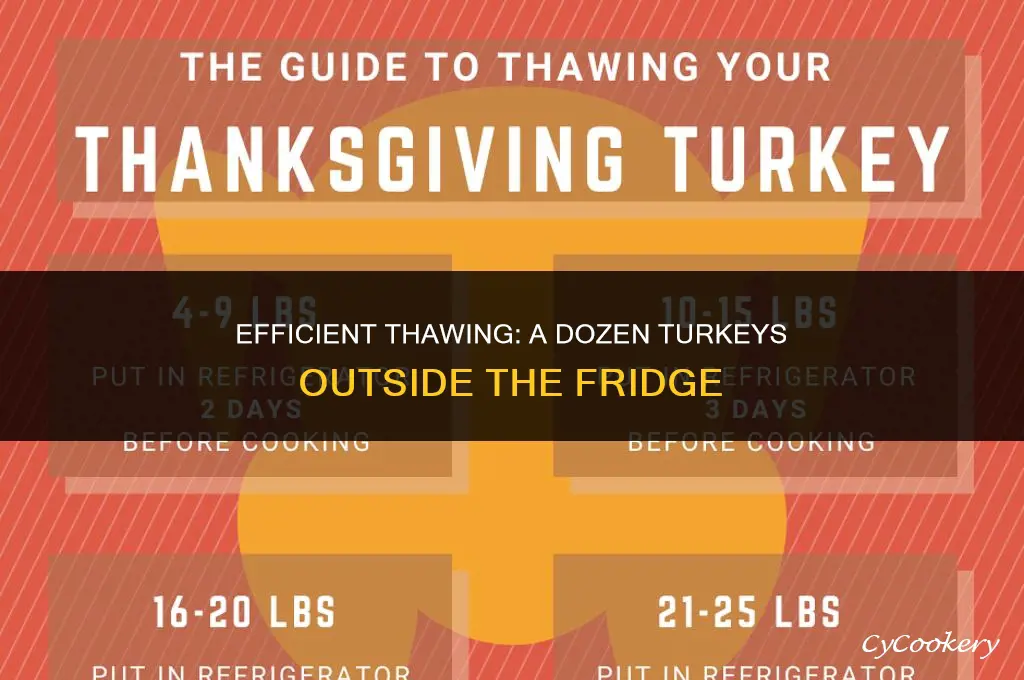 how to thaw 12 turkeys not in refrigerator