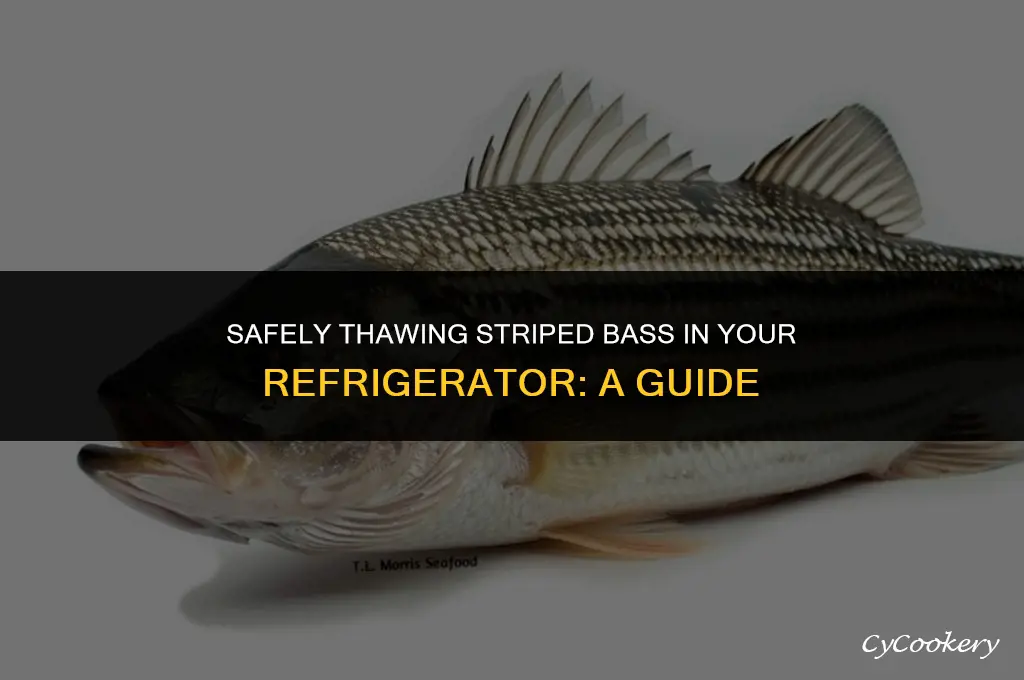 how to thaw a striped bass in the refrigerator