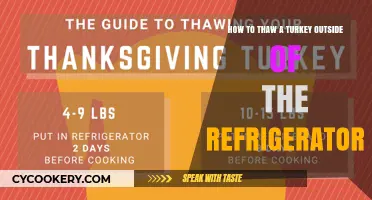 Safe and Speedy: Thawing Your Turkey Outside the Fridge