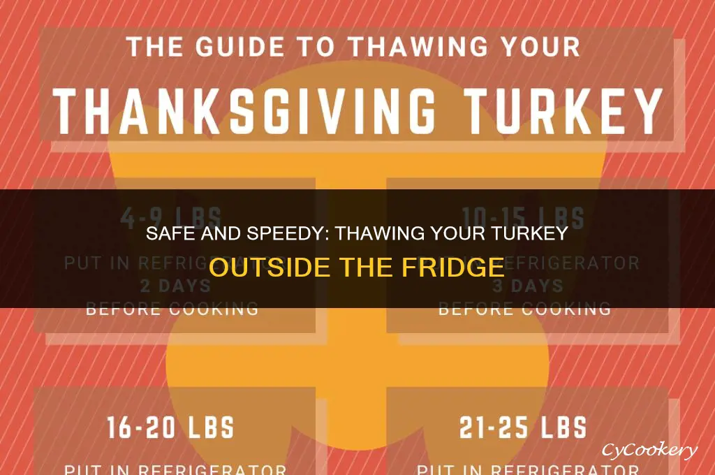 how to thaw a turkey outside of the refrigerator