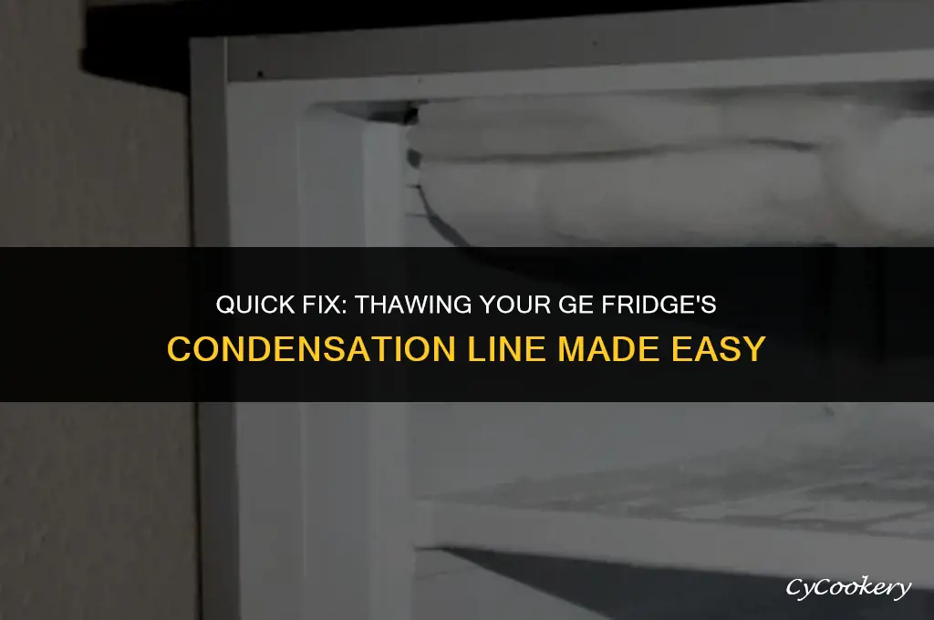 how to thaw condensation line in ge refrigerator