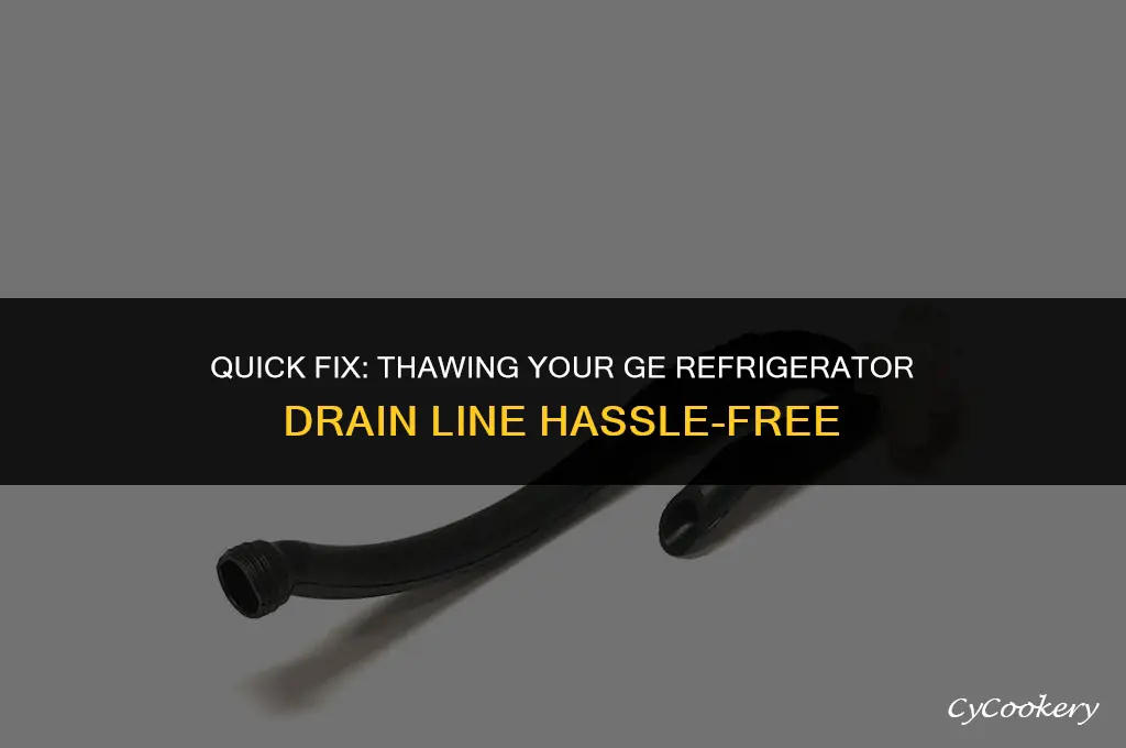 how to thaw drain line in ge refrigerator