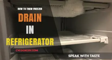 Quick Fixes: Thawing Your Refrigerator's Freezer Drain Easily