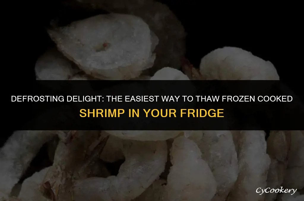 how to thaw frozen cooked shrimp in refrigerator