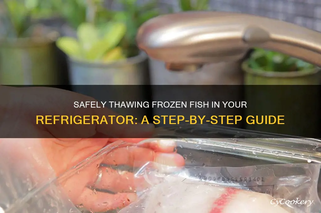 how to thaw frozen fish in refrigerator