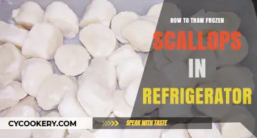 Thawing Frozen Scallops Safely: A Simple Refrigerator Method Guide