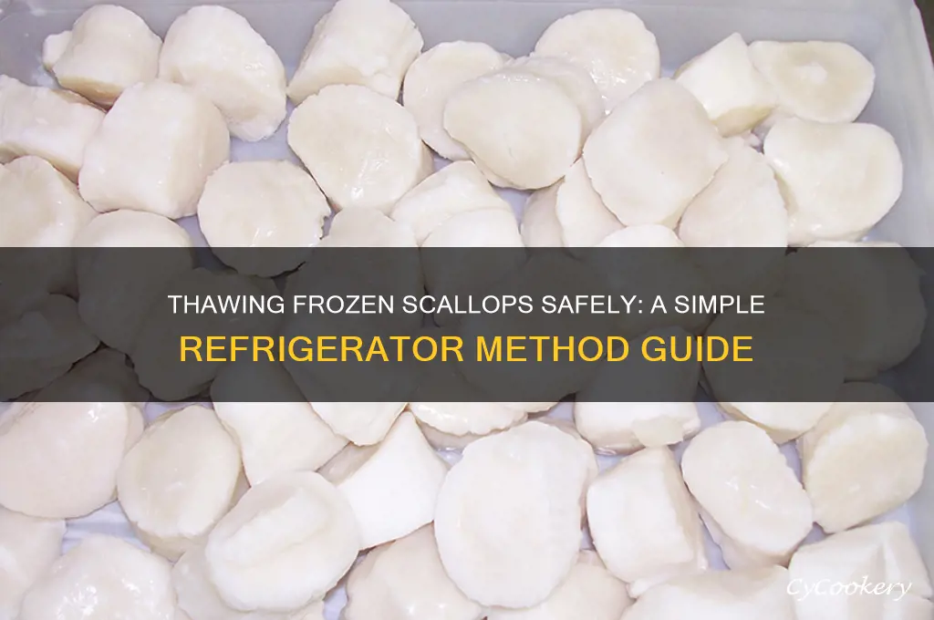 how to thaw frozen scallops in refrigerator