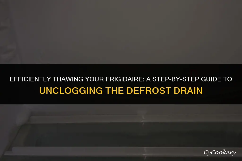 how to thaw out a frigidaire refrigerator defrost drain