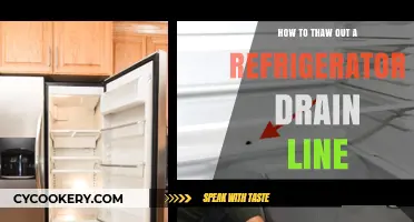 Quick Fix: Thawing Your Refrigerator Drain Line Made Easy