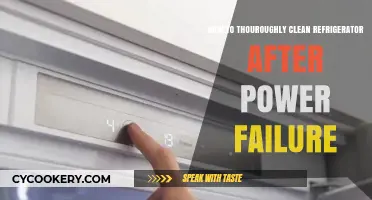 Reviving Your Fridge: A Deep Clean Guide Post-Power Failure