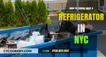 Eco-Friendly Fridge Disposal: A New Yorker's Guide