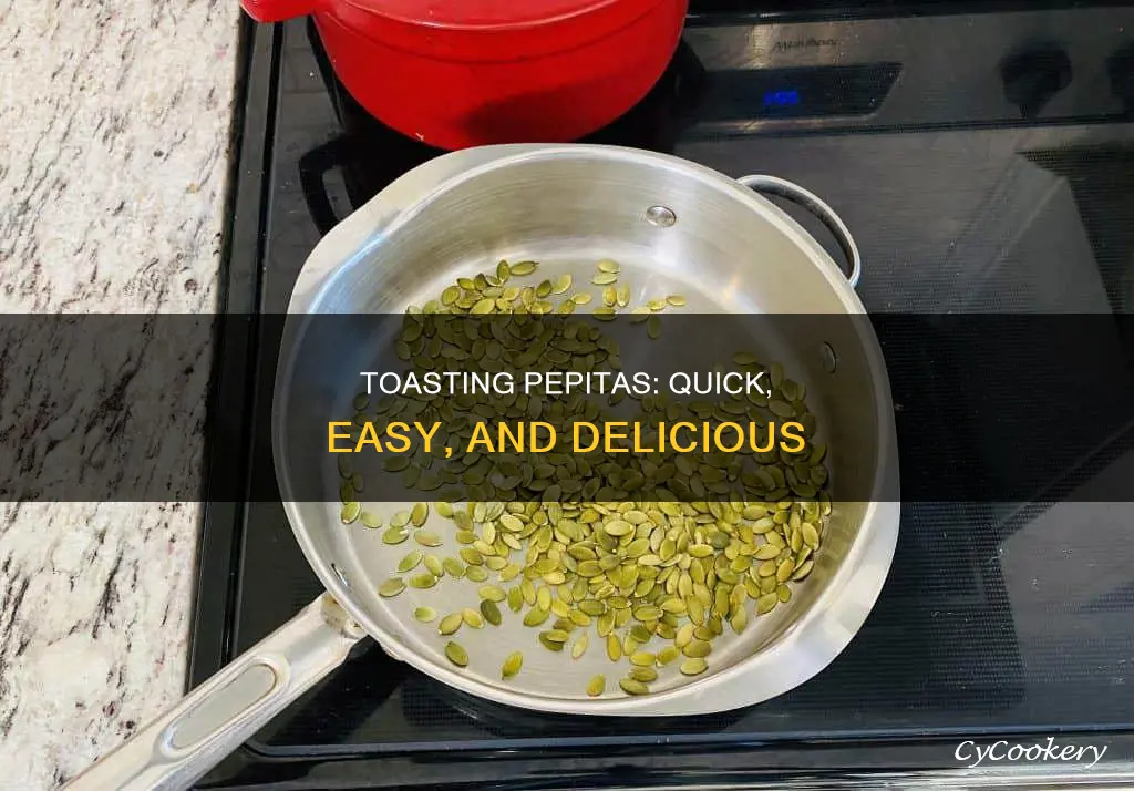 how to toast pepitas in pan