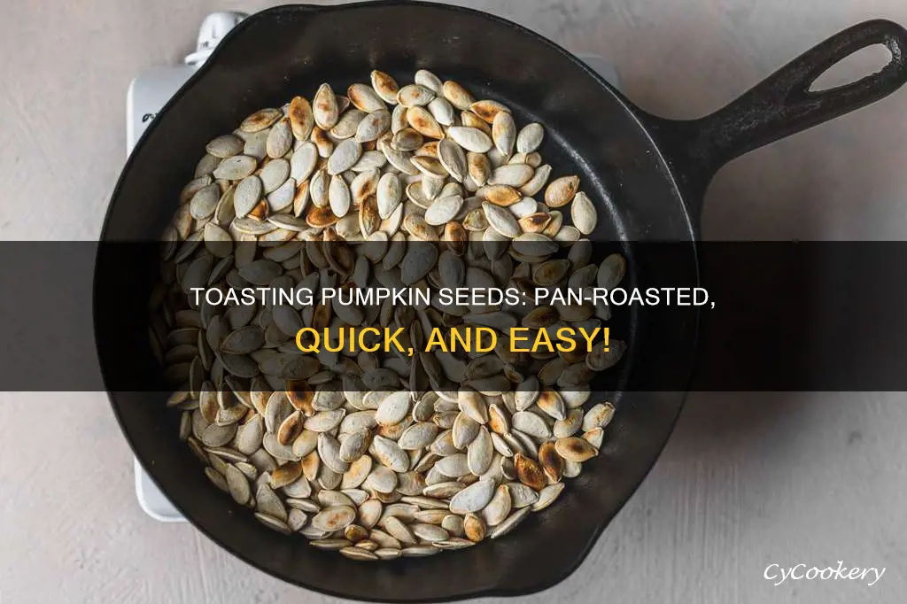 how to toast pumpkin seeds in a pan