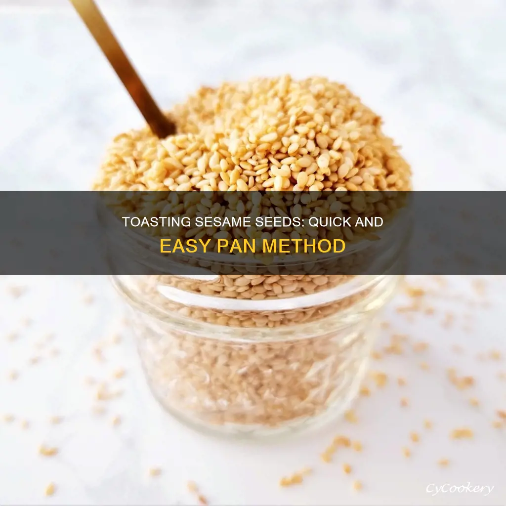 how to toast sesame seeds in pan