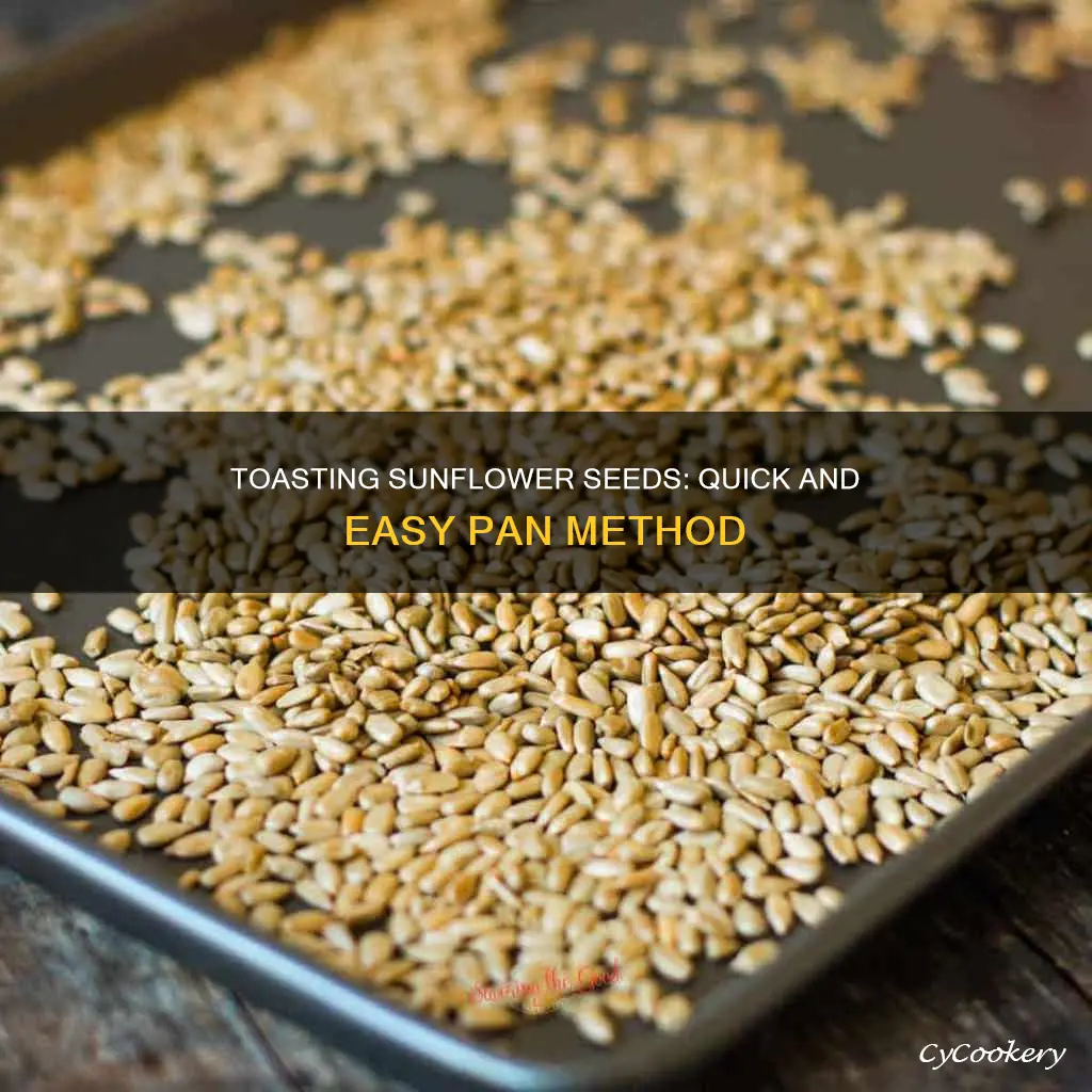 how to toast sunflower seeds in a pan