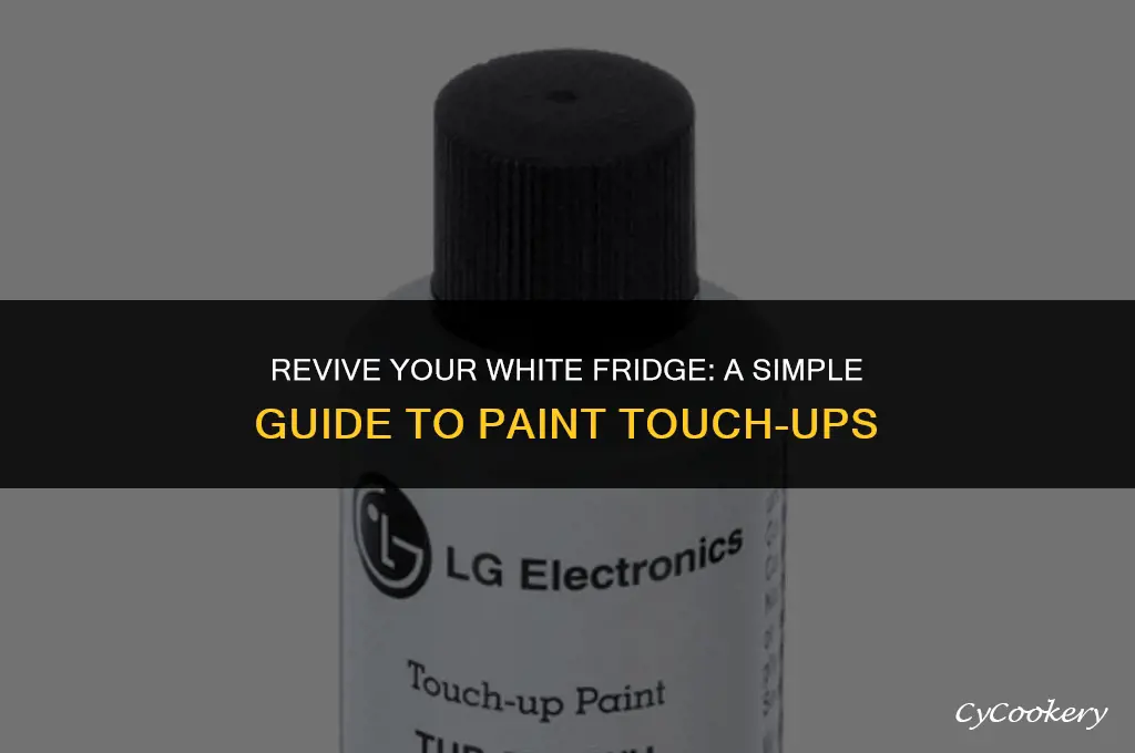 how to touch up paint on white refrigerator