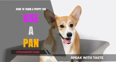 Puppy Potty Training: Mastering the Pan in Simple Steps