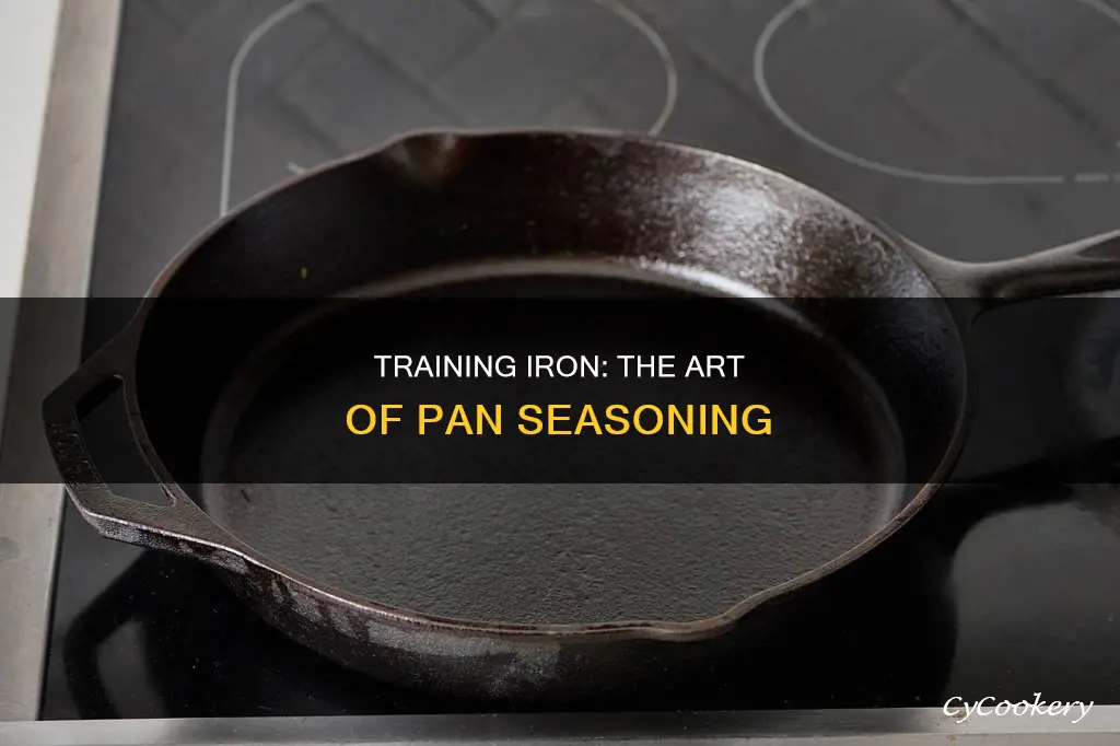 how to train an iron pan