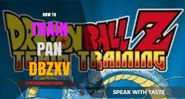 Training Pan Dbzxv: A Step-by-Step Guide