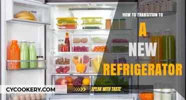 Seamless Upgrade: Tips for Transitioning to a New Refrigerator