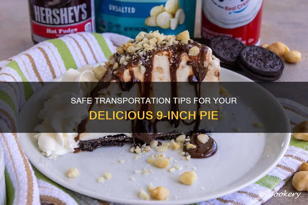 how to transport a 9 inch pie pan