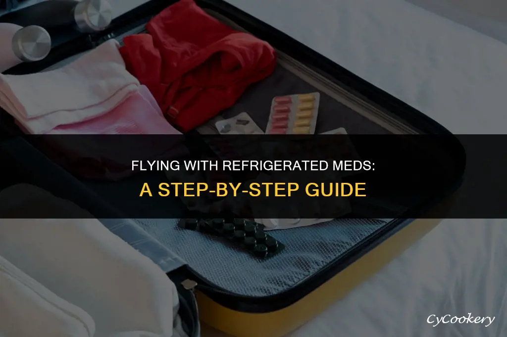 how to transport refrigerated medication on a plane