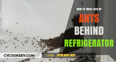 Effective Ways to Eliminate Ants Behind Your Refrigerator