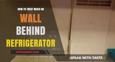 Effective Ways to Treat Mold Behind Your Refrigerator